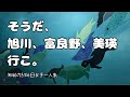 【３泊４日女子一人旅】そうだ、旭川、富良野、美瑛行こ【動物園とノロッコ号】