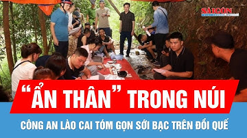 Công an Lào Cai triệt xóa ổ nhóm đánh bạc trên đồi quế, tạm giữ 24 đối tượng