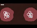 Who has nuclear weapons and how did they get them? - BBC World Service