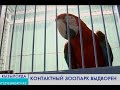 КОНТАКТНЫЙ ЗООПАРК ВЫДВОРЕН // БЕКБОЛАТ РАХАТ УСТАНОВИЛ МИРОВОЙ РЕКОРД ПО ТЯЖЕЛОЙ АТЛЕТИКЕ //