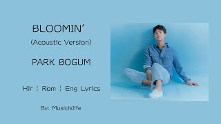 Park Bo Gum - Bloomin' (Acoustic Version)  [Hir|Rom|Eng Lyrics]