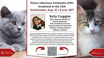 Cornell Feline Health Center: Feline Infectious Peritonitis (FIP) treatment in the USA thumbnail