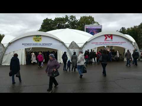 Ярмарка Дары осени 2017 года на площади Мира в Мытищах
