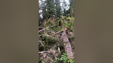 Double Blocking Part 2, some more tips and tricks about double blocking