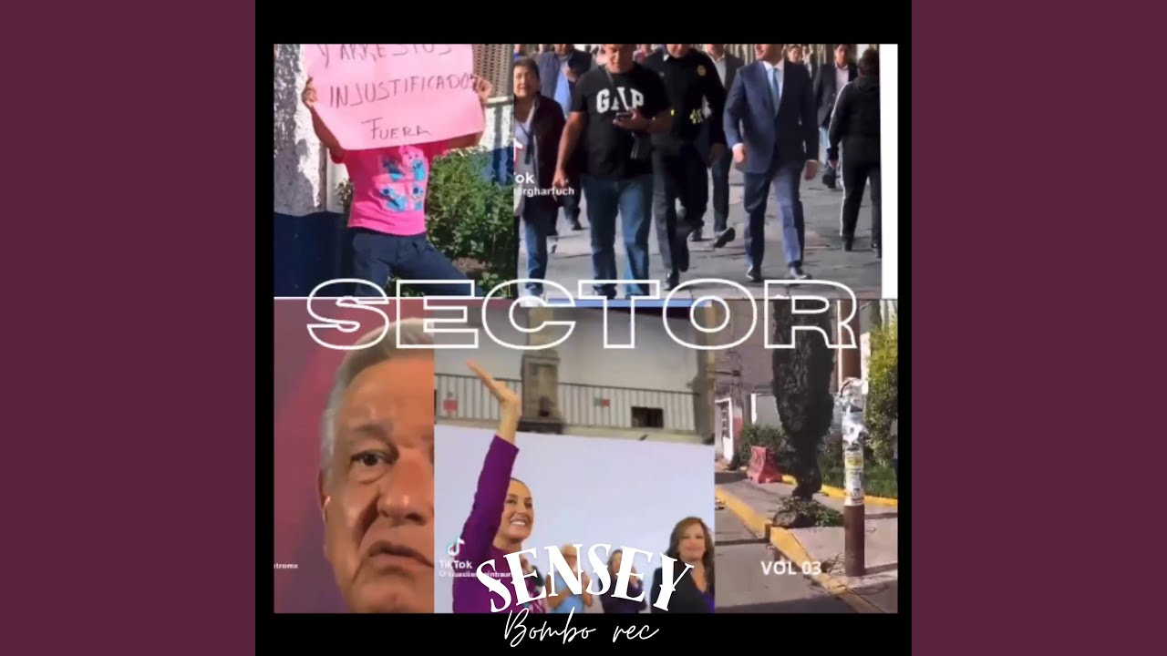 Ver Sector en YouTube Ver Sector en YouTube
