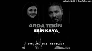 Gönlüm Deli Sevdana