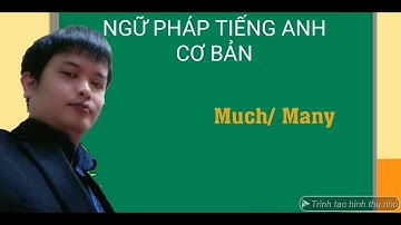 MUCH VÀ MANY TRONG TIẾNG ANH
