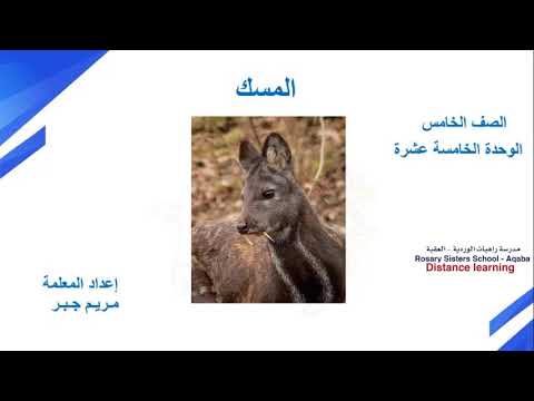 اللغة العربية للصف الخامس درس المسك
