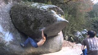 豊田  きりきり舞い  （f） 二段