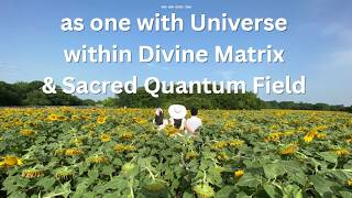 963 | as one with Universe within Divine Matrix & Sacred Quantum Field Wholebeing Framework