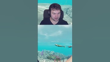 looking for protien in stranded deep