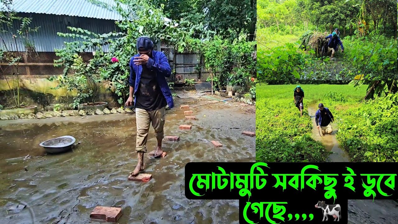 মোটামুটি সবকিছু ই ডুবে গেছে,,,,🐄