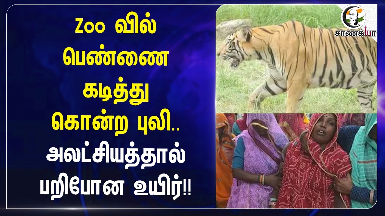⁣Zoo வில் பெண்ணை கடித்து கொன்ற புலி.. அலட்சியத்தால் பறிபோன உயிர்!! | Jaipur | RIP | Forest Dept