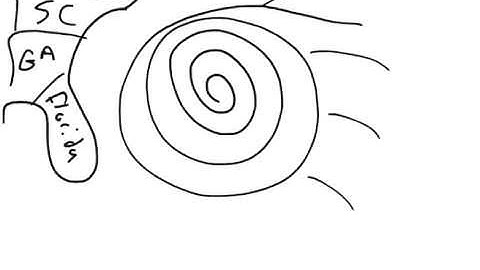 Physics Web Assign Ch 3 #9