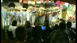 Video thumbnail of "Vicente Fernandez - Potro Lobo Gateado"