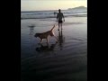Simon Na Praia Simon Na Praia