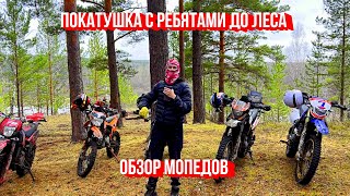 ЕДЕМ С РЕБЯТАМИ В КРАСИВЫЙ ЛЕС КРАТКИЙ ОБЗОР ВСЕХ ПИТБАЙКОВ RACER MOTOLAND KAYO PROGASI REGUL SPR