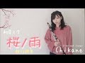 【初音ミク】桜ノ雨【演奏してみた】