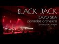 【BLACK JACK/東京スカパラダイスオーケストラ Full ver.】YORUUTA BAND