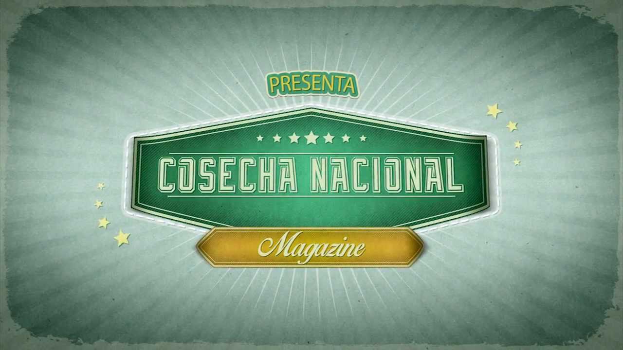 bigoteado-nacional-cap-tulo-1-youtube