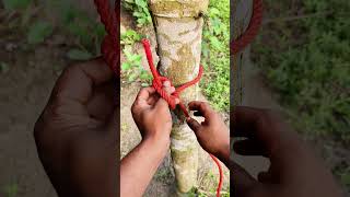 A truly extraordinary knot.