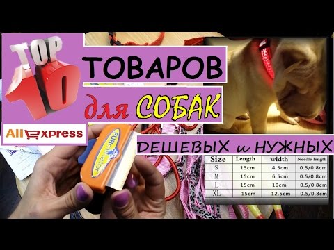 10 КРУТЫХ и ДЕШЕВЫХ Товаров с #AliExpress для СОБАК | Распаковка посылок | For DOG