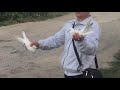 #Pigeon.Гости из Челябинска. часть-4.