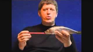 Space time continuum  Continuum method