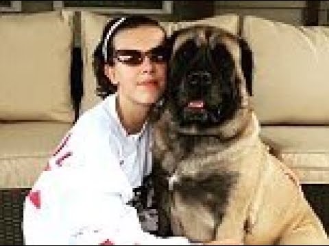 Millie Bobby Brown & dog do Be Kind Challenge & gives to ...