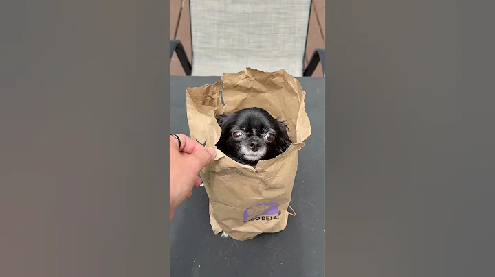 TACO BELL FLYING PUDDIN 😱❤️