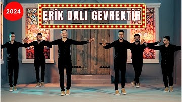 Thumbnail of Aylin Demir - Erik Dalı Gevrektir - Oyun Havası