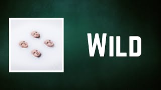 Kings Of Leon - Wild (Lyrics)