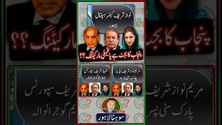 پنجاب بجٹ ہے یا فیملی اشتہار؟ #pti