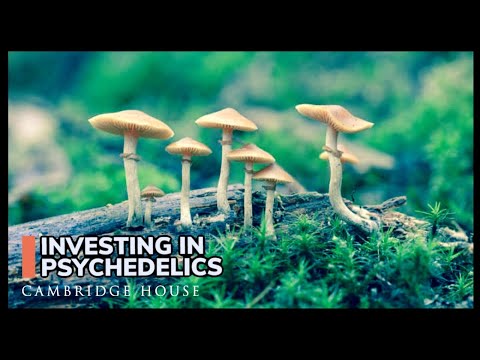 Investing In Psychedelic Therapies: Compass Pathways