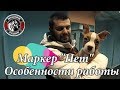 Дрессировка щенка. Работа с маркером "Нет". Начальный этап