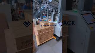 Case Palletizer Site Acceptance Test #cartonmachine #palletizingrobot