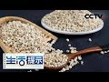 《生活提示》 薏米水您煮对了吗？ 20180802 | CCTV
