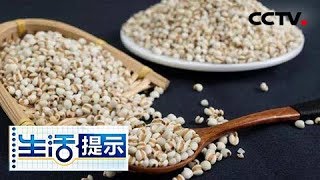 《生活提示》 薏米水您煮对了吗？ 20180802 | CCTV