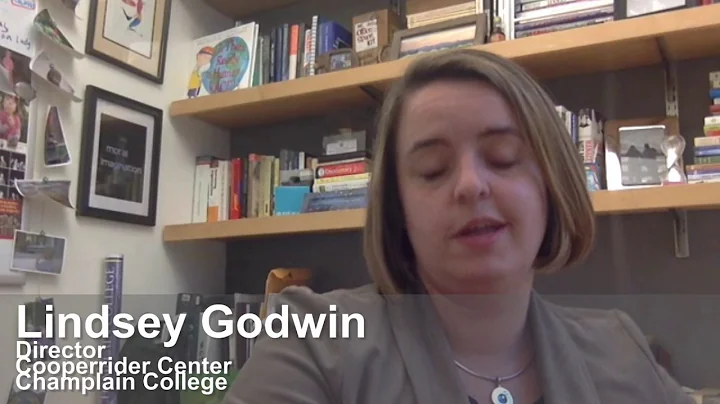 LINDSEY GODWIN, AI WORLD INQUIRY