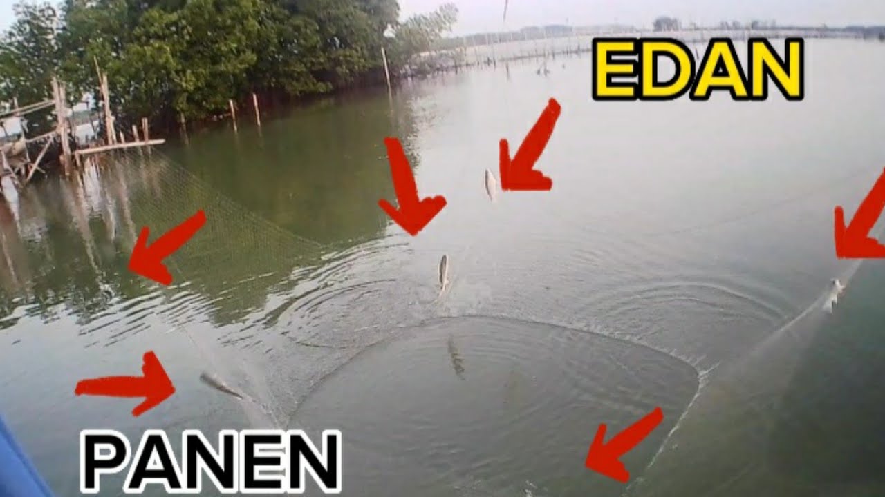 PART.1||🔴edan..spot ini berasa seperti kolam||branjang anco Eps 43