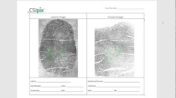 CSIpix Basics: Court Charts using Word Templates
