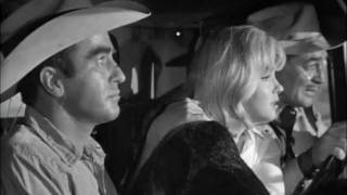 Celebrity 'The Misfits'  - The Woodentops - Everything Breaks Profile