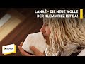 Lanaé - Die neue Wolle. Der Klemmfilz ist da! | ISOVER