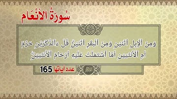 سورة الأنعام أية رقم (141) إلى الأية رقم (150) بصوت القارئ علي جابر