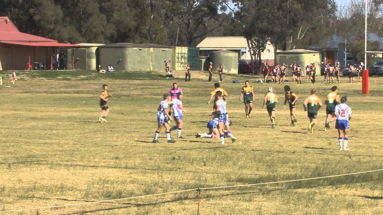 josip jurjevic windsor wolves