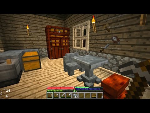 Minecraft TerraFirmaCraft #32: Loot Collection