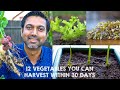 12 Vegetables You Can HARVEST Within 30 DAYS