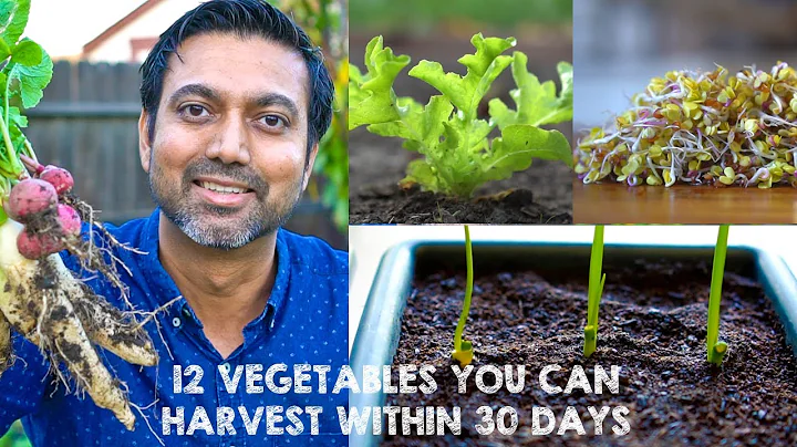 12 Vegetables You Can HARVEST Within 30 DAYS - DayDayNews