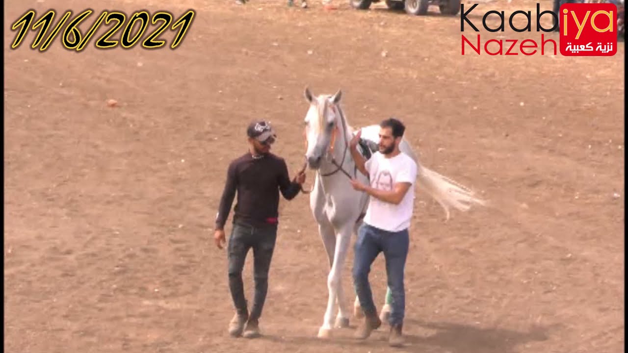 بطولة مواليد 2018 جروب 1 حبش رمح الرسلان وضاح بطولة ميدان الأحلام البطوف كفر مندا 16/10/2021