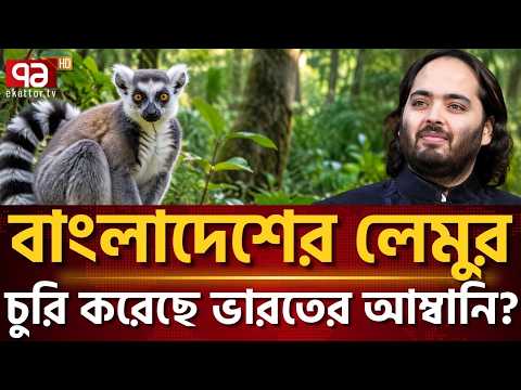 গাজীপুর সাফারি পার্কের লেমুর সোজা আম্বানির পার্কে! | Gazipur Safari Park | Ekattor TV